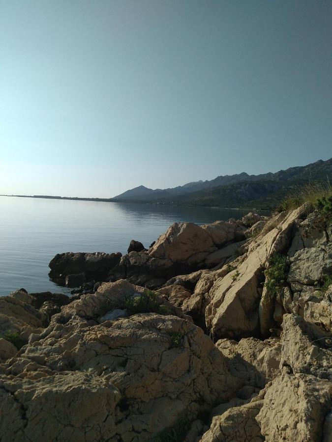 Apartment Salvia Starigrad Paklenica