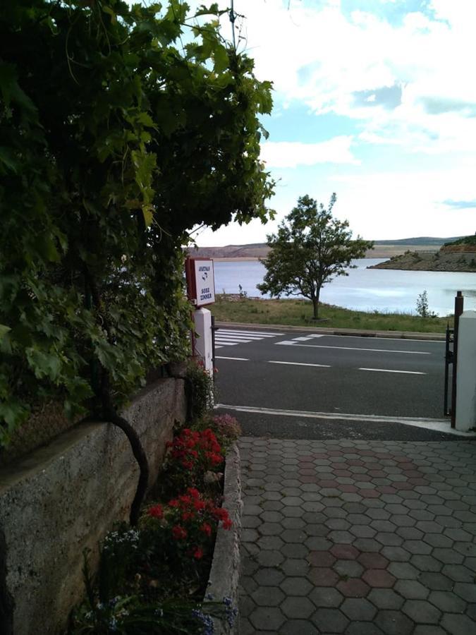 Salvia Starigrad Paklenica